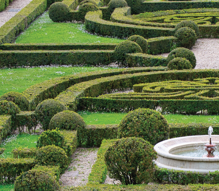 gut strukturierter Barock-Garten